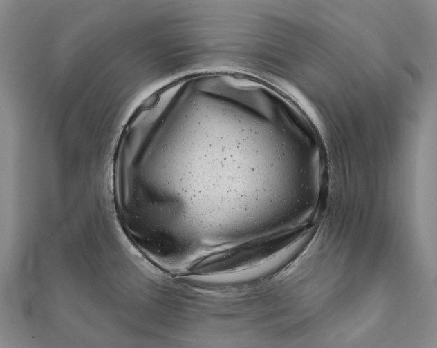 X0000112101388200908251140