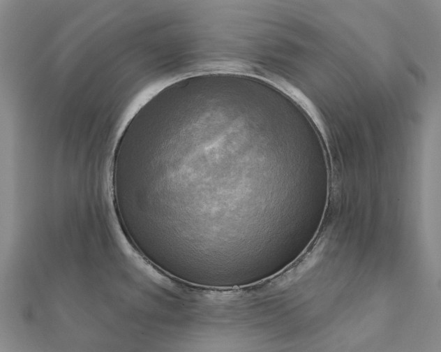 X0000112101389200908251140