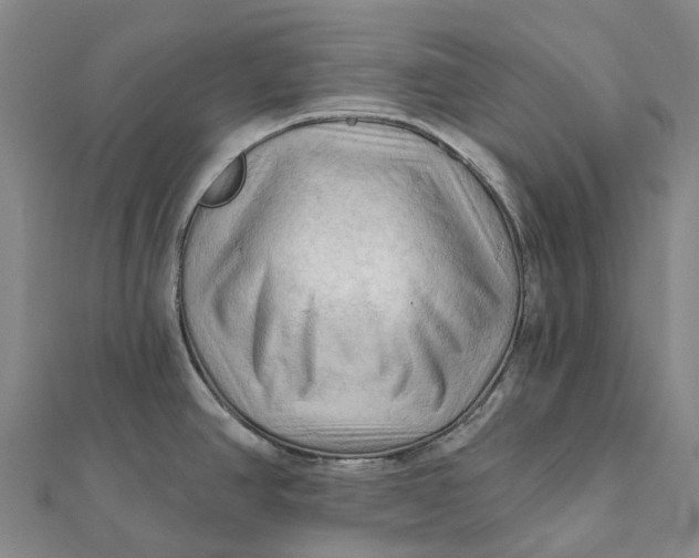 X0000112101390200908251140