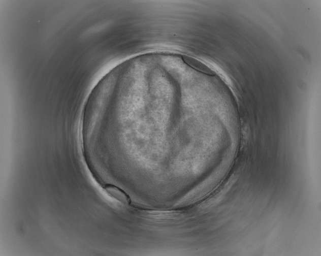 X0000112101391200908251140