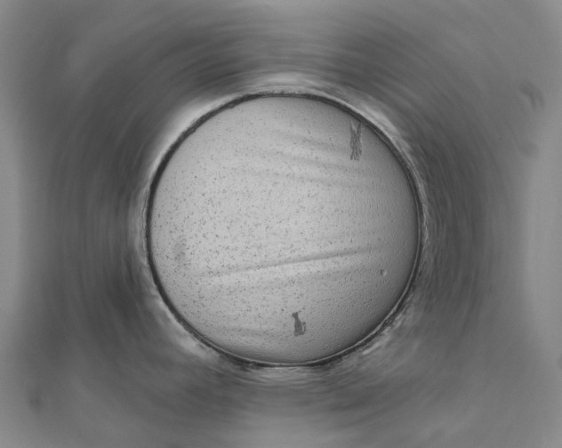 X0000112101392200908251140