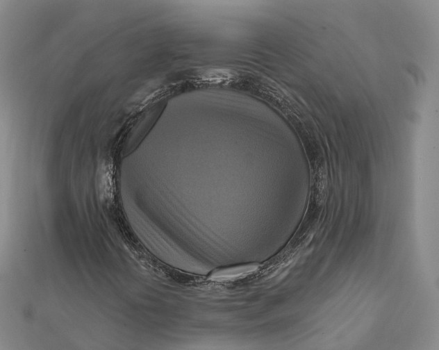 X0000112101394200908251139