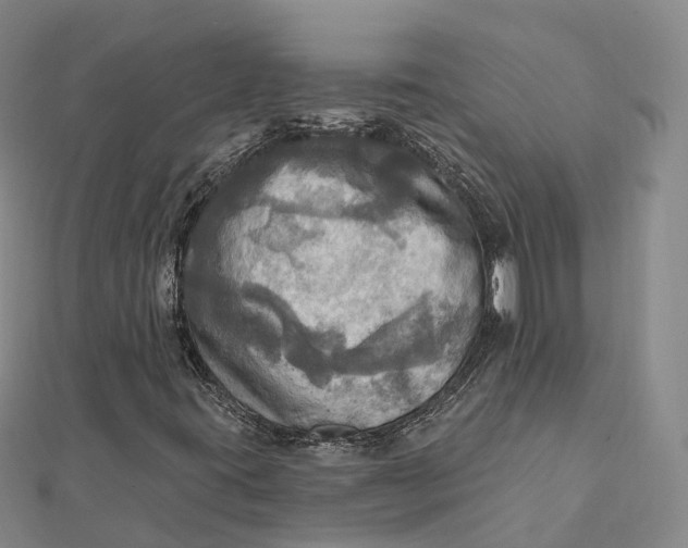 X0000112101395200908251139