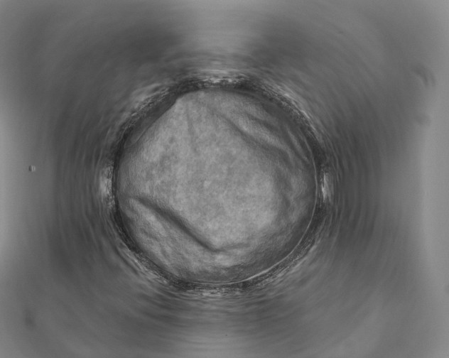 X0000112101396200908251139