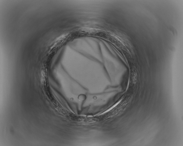 X0000112101397200908251139