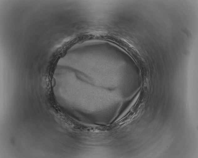 X0000112101398200908251139