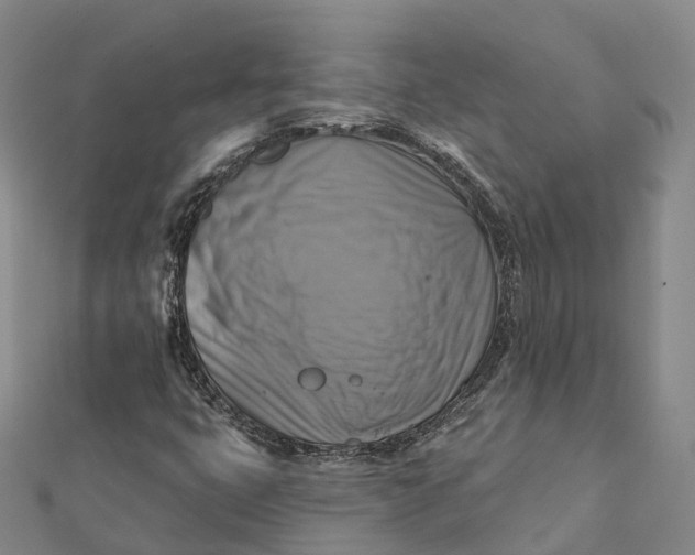 X0000112101399200908251139