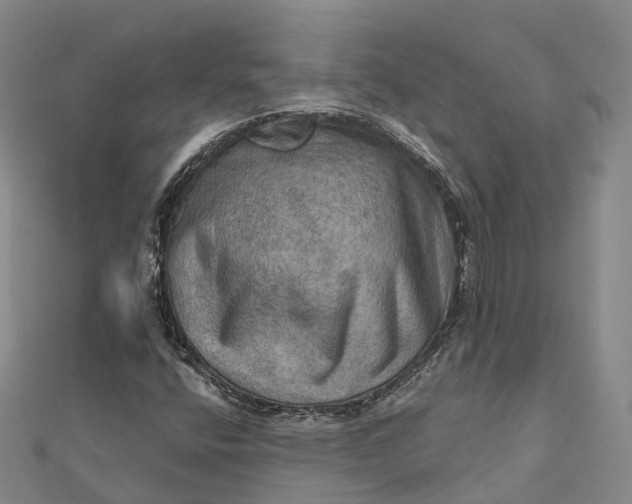 X0000112101400200908251139