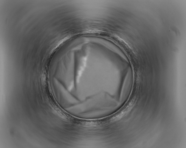 X0000112101401200908251139