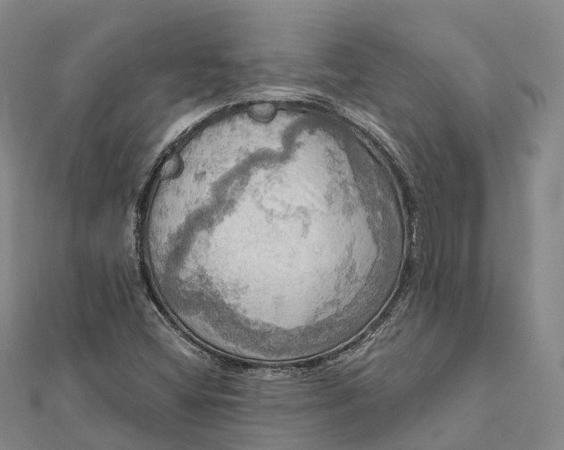 X0000112101404200908251139