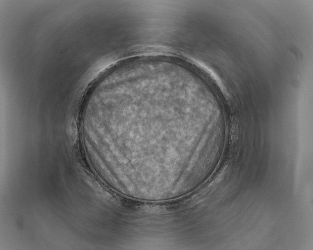 X0000112101407200908251139