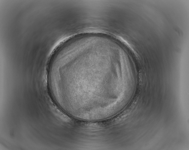 X0000112101408200908251139