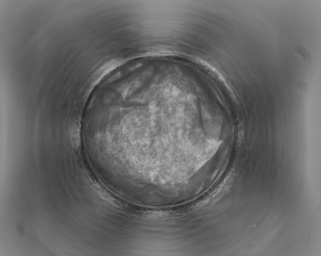 X0000112101409200908251139