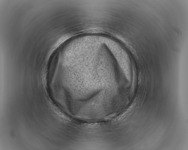 X0000112101410200908251139