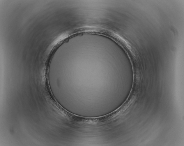 X0000112101411200908251139