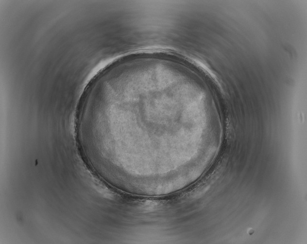 X0000112101412200908251139