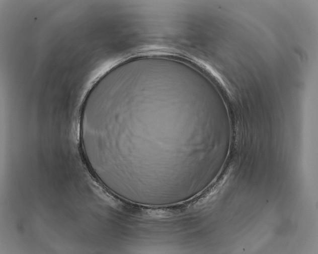 X0000112101413200908251139