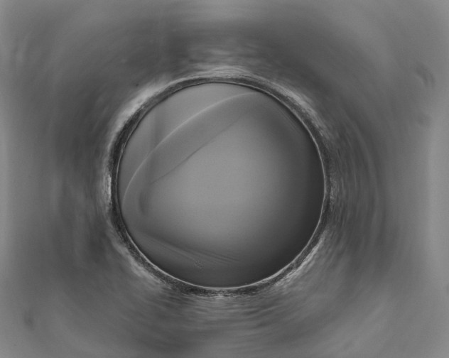 X0000112101414200908251139