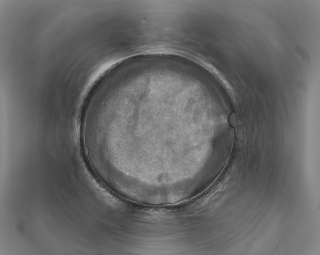 X0000112101416200908251139