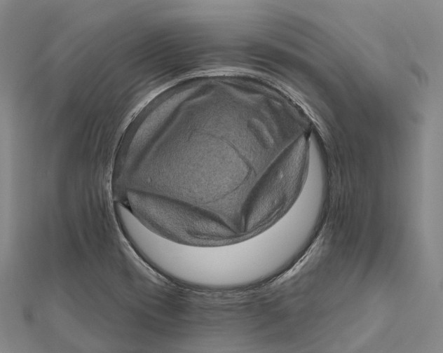 X0000112101417200908251139