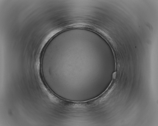 X0000112101418200908251139