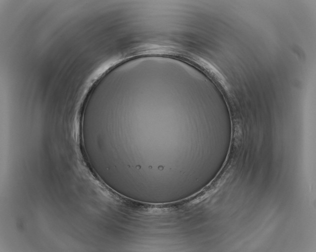 X0000112101419200908251139