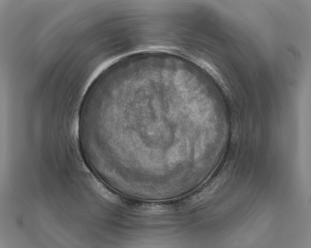 X0000112101420200908251139