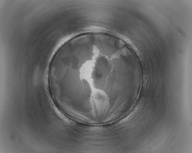 X0000112101421200908251139