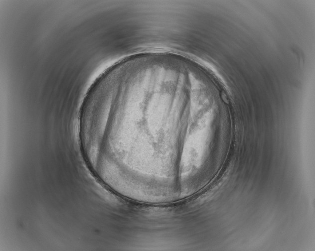 X0000112101424200908251139