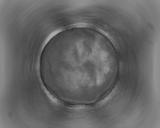 X0000112101426200908251139