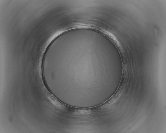 X0000112101427200908251139