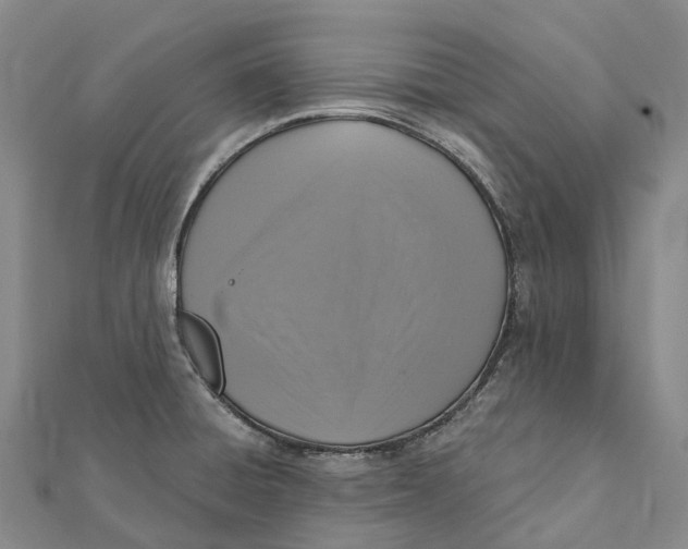 X0000112101428200908251139