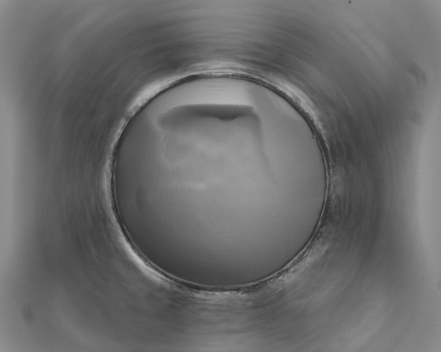 X0000112101429200908251140