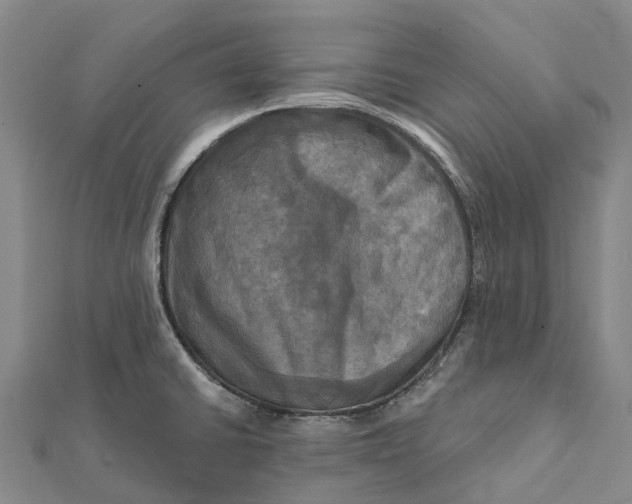 X0000112101430200908251140