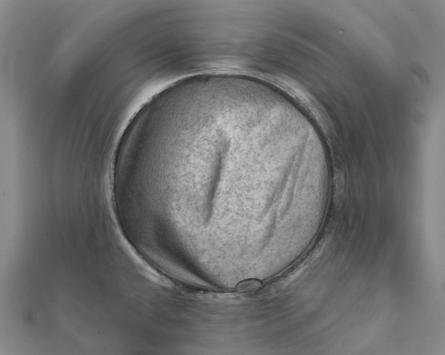 X0000112101432200908251140