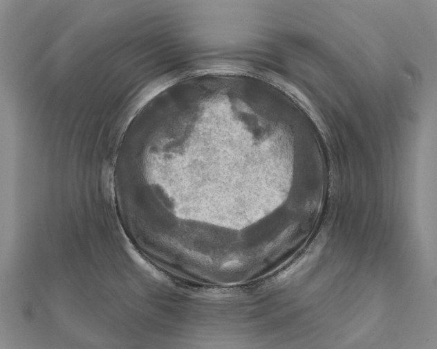 X0000112101433200908251140