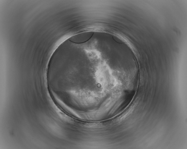 X0000112101434200908251140