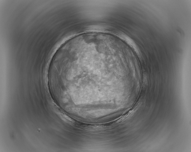 X0000112101435200908251140