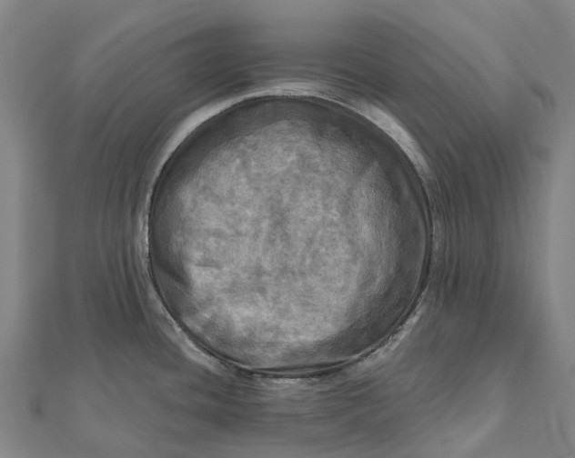 X0000112101436200908251140