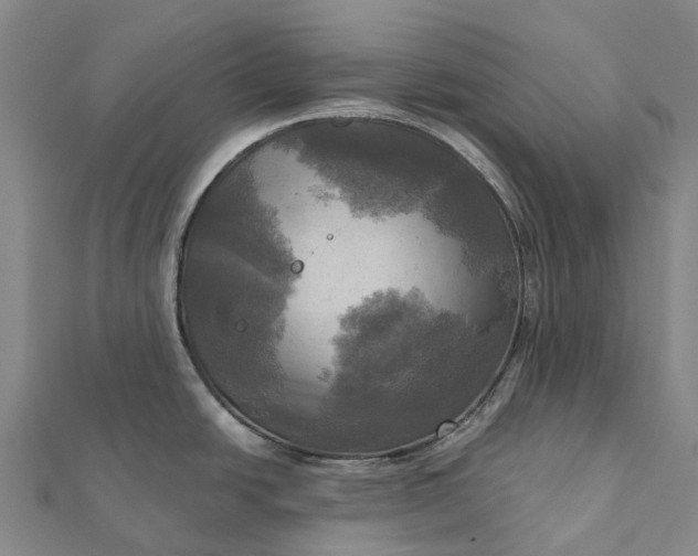 X0000112101438200908251140