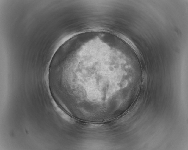 X0000112101439200908251140