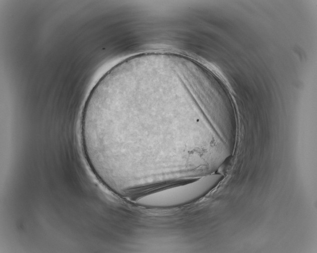 X0000112101440200908251140