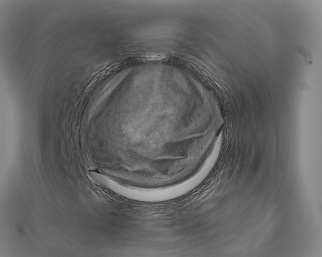 X0000112101441200908251139