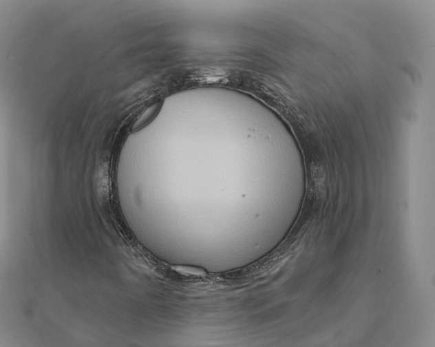 X0000112101442200908251139