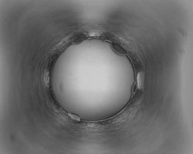 X0000112101443200908251139