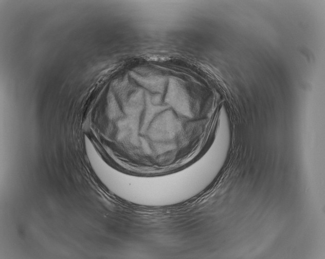 X0000112101444200908251139