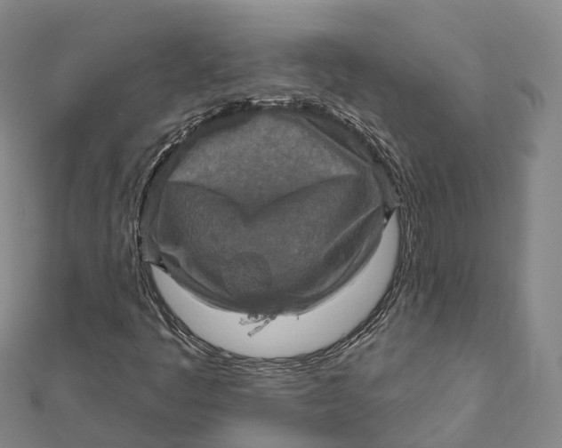 X0000112101445200908251139