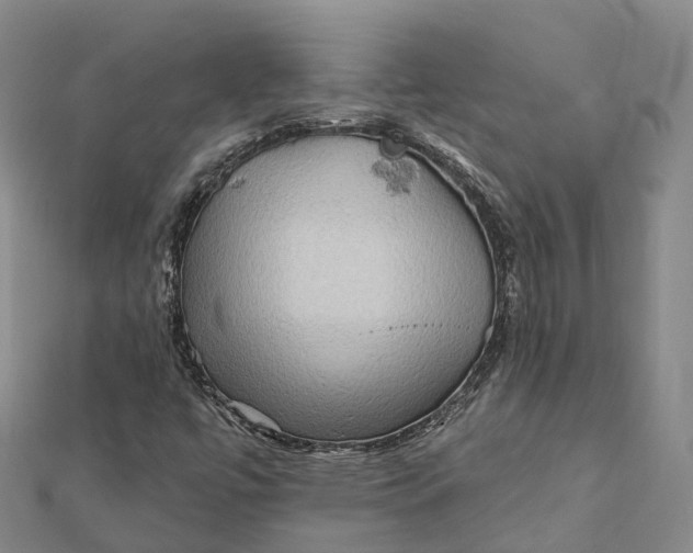 X0000112101447200908251139