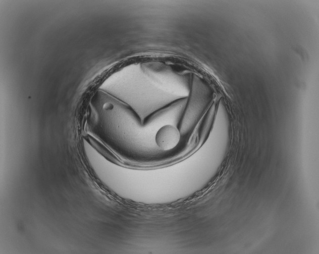 X0000112101448200908251139