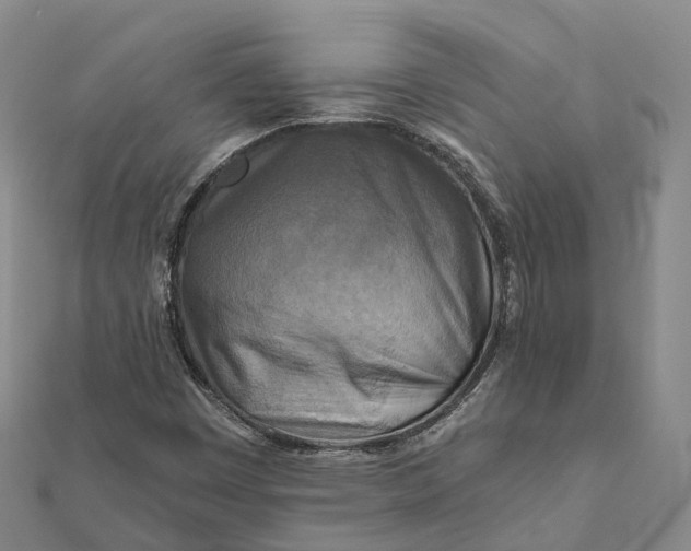 X0000112101449200908251139